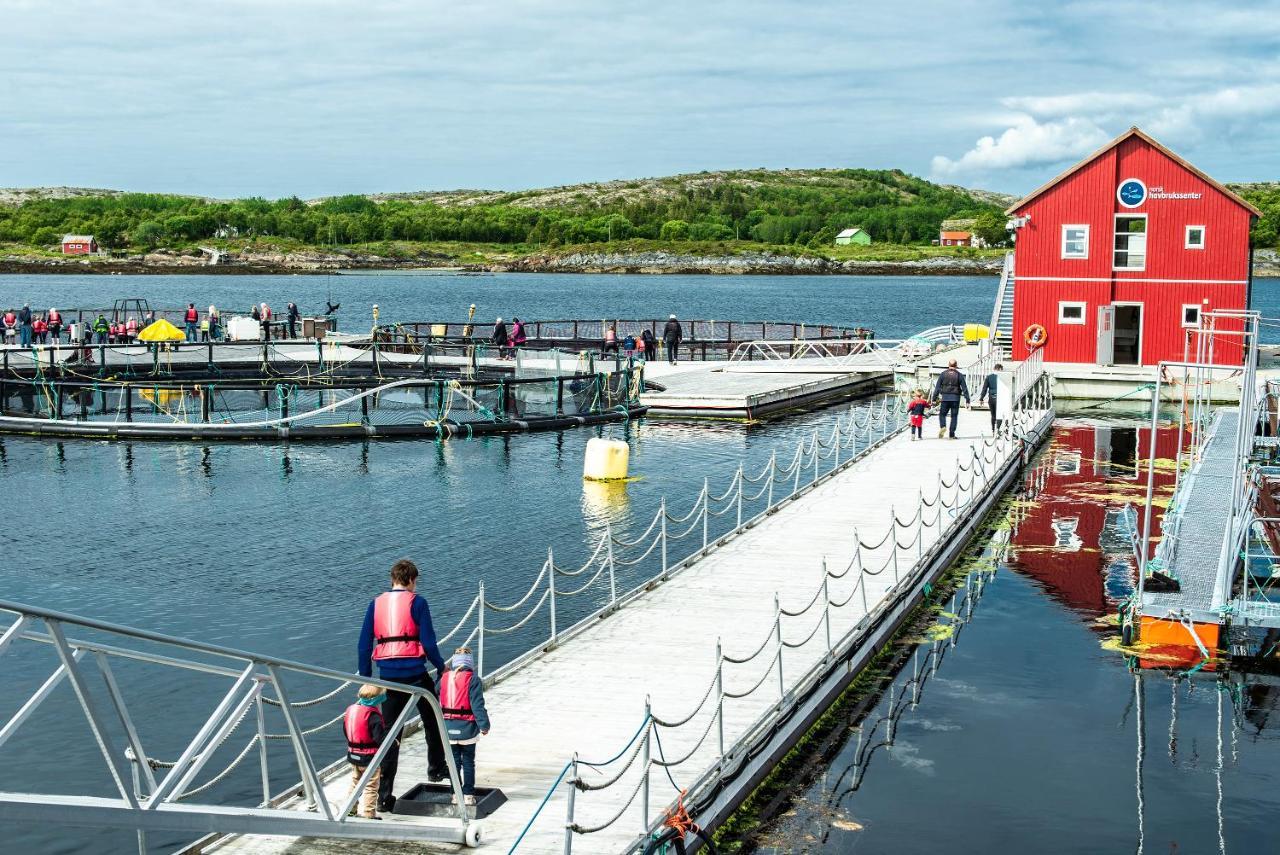 Norsk Havbrukssenter - Rorbuer Hotel Bronnoysund Exterior foto