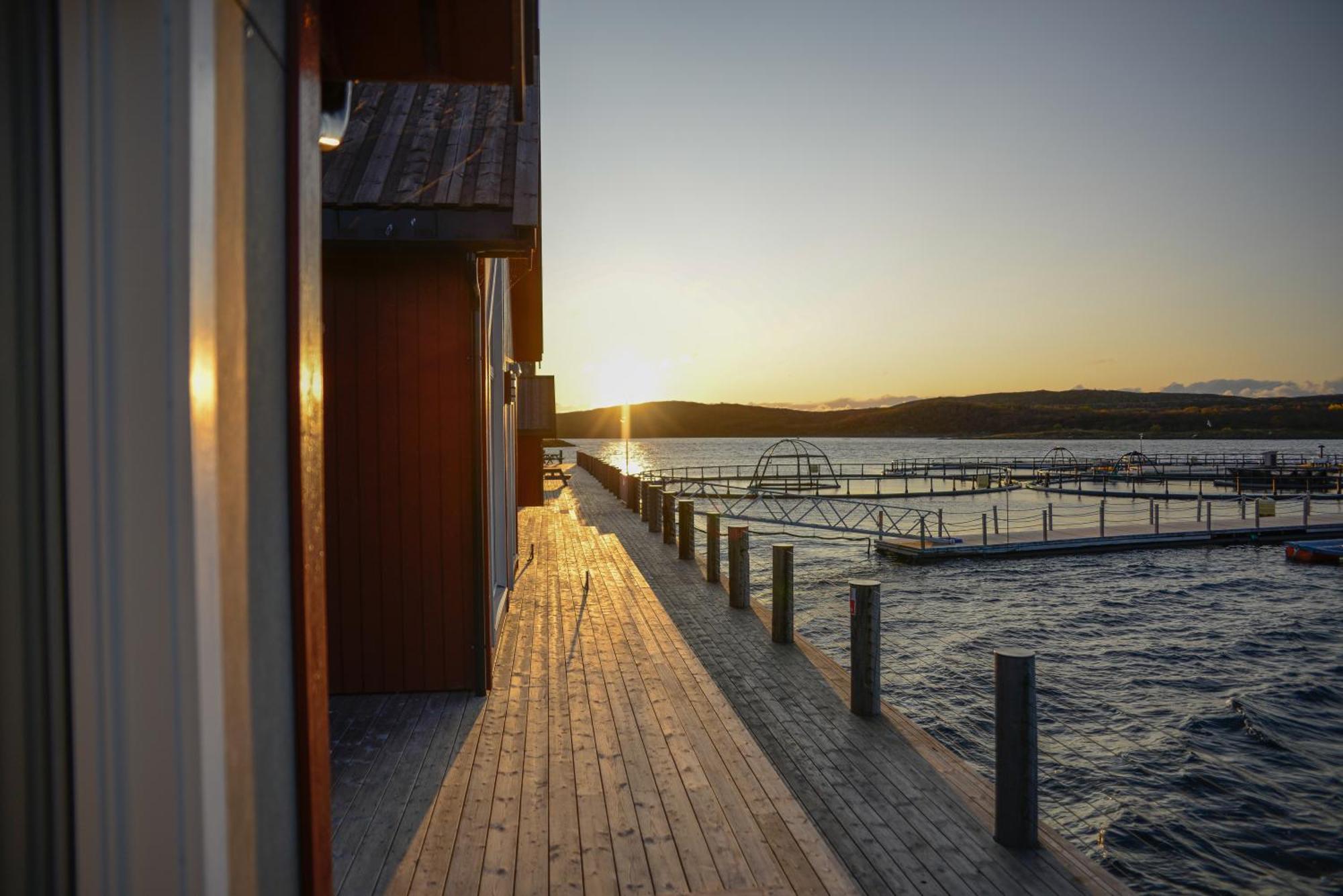 Norsk Havbrukssenter - Rorbuer Hotel Bronnoysund Exterior foto